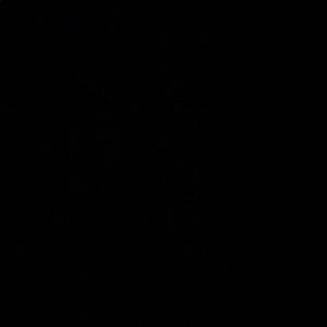 Meet your Posher, Channing